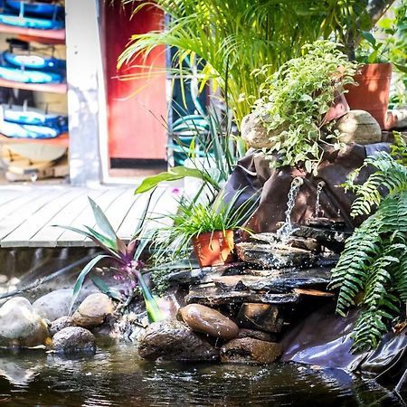 Experiencia Surf Camp Hostel Brisas de Zicatela ภายนอก รูปภาพ