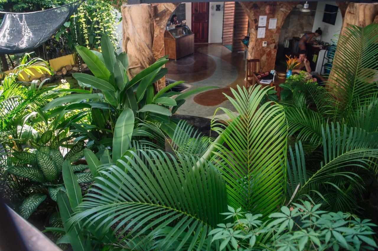 Experiencia Surf Camp Hostel Brisas de Zicatela ภายนอก รูปภาพ