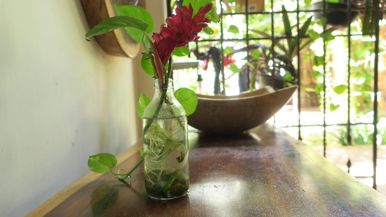 Experiencia Surf Camp Hostel Brisas de Zicatela ภายนอก รูปภาพ